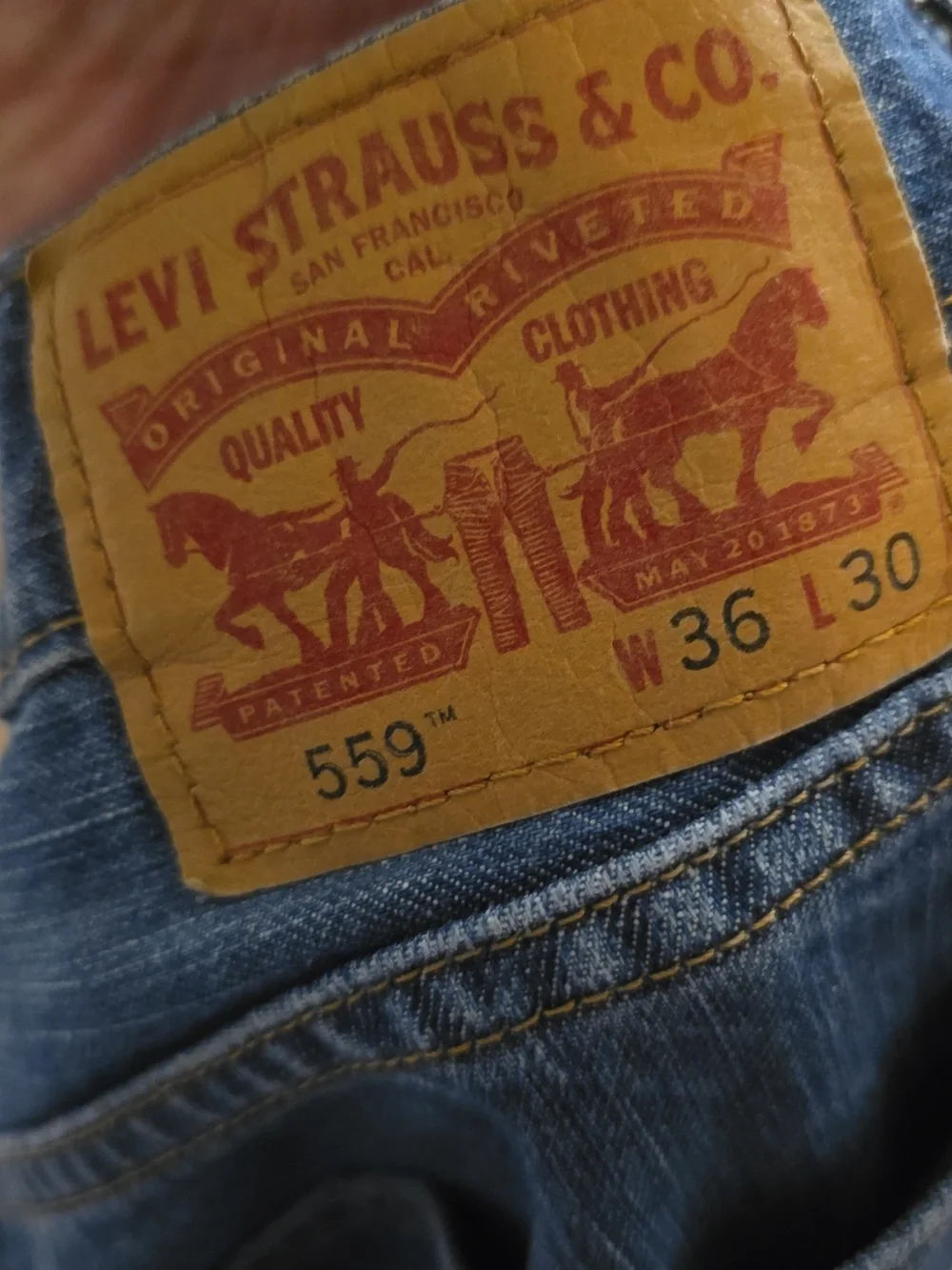 Levis levi 559